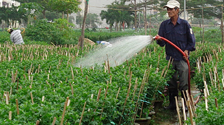 Đà Nẵng: Về đích nông thôn mới trong năm 2015