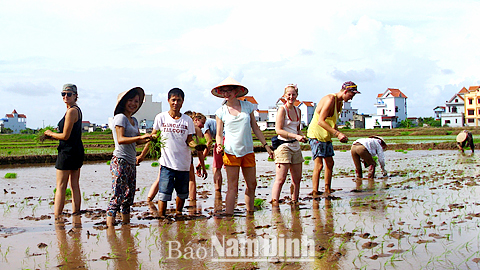 Dự báo thời tiết, thủy văn đêm 4-5-2015 ngày 5-5-2015 tỉnh Nam Định