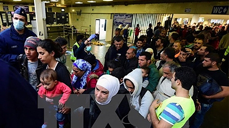 Hungary xây hàng rào chặn người di cư ở biên giới với Romania