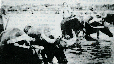 Nâng cao sức chiến đấu của Đảng bộ, tích cực thúc đẩy quan hệ sản xuất mới - (Kỳ 5)