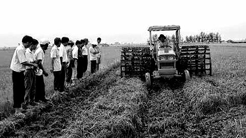 Nâng cao sức chiến đấu của Đảng bộ, tích cực thúc đẩy quan hệ sản xuất mới - (Kỳ 7)