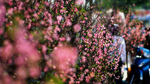 Dự báo thời tiết, thủy văn đêm 7-2-2016 ngày 8-2-2016 tỉnh Nam Định