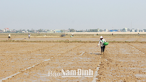 Dự báo thời tiết, thủy văn đêm 15-2-2016 ngày 16-2-2016 tỉnh Nam Định