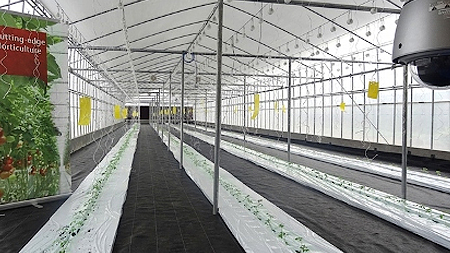 Ra mắt mô hình trồng trọt ứng dụng công nghệ cao