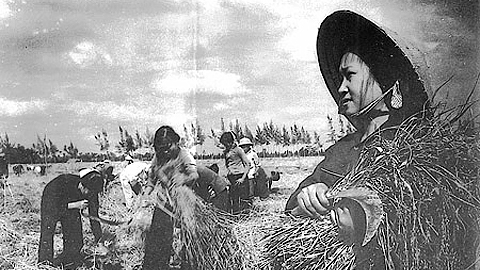 Khôi phục và phát triển KT-XH giai đoạn 1976-1980, tăng cường công tác quốc phòng - an ninh, góp phần bảo vệ Tổ quốc xã hội chủ nghĩa - Kỳ 3