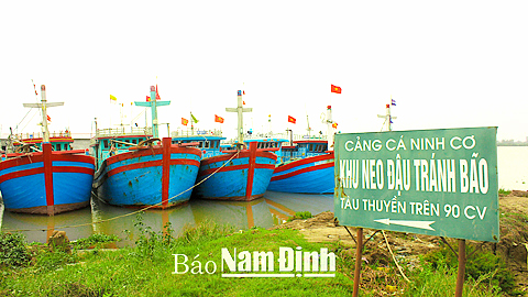 Chủ động phương án phòng chống thiên tai, bảo đảm an toàn cho ngành thủy sản