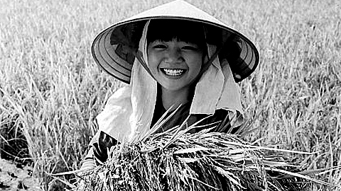 Đảng bộ lãnh đạo bước đầu chuyển đổi cơ chế quản lý KT-XH, củng cố quốc phòng - an ninh (Kỳ 2)