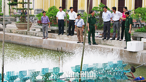 Hiệu quả mô hình Tổ hợp tác nuôi trồng thủy sản xã Nghĩa Lợi