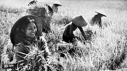 Đảng bộ lãnh đạo bước đầu chuyển đổi cơ chế quản lý KT-XH, củng cố quốc phòng - an ninh (Kỳ 13)