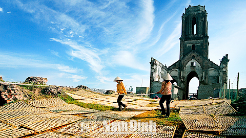 Các tác giả Nam Định với chủ đề biển, đảo