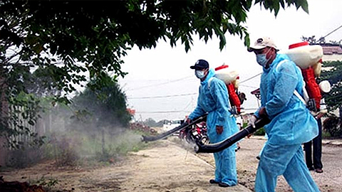 Zika có nguy cơ bùng phát thành dịch lớn