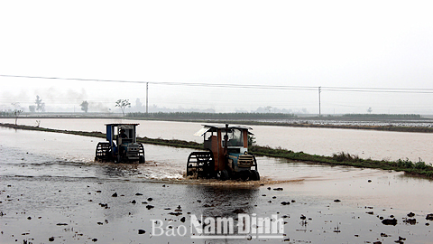 Rộn rã xuống đồng ngày xuân