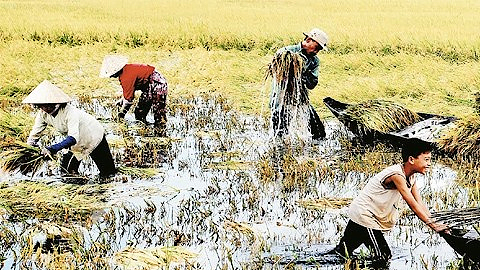 Một số chính sách mới bắt đầu có hiệu lực từ tháng 2-2017