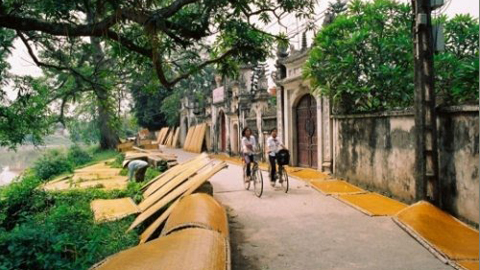 Con đường lát gạch nghiêng