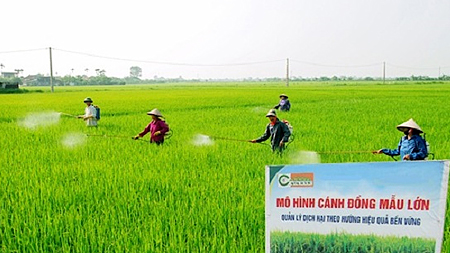 Tập trung lãnh đạo đẩy mạnh công nghiệp hoá, hiện đại hoá trong những năm đầu thế kỷ XXI (2001-2005) - Kỳ 3