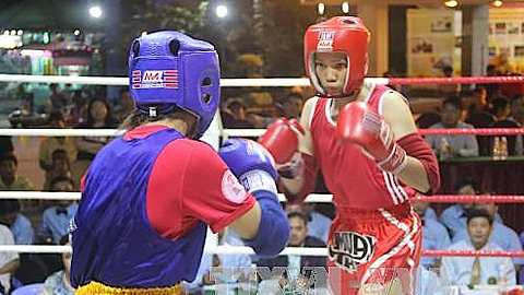 Khai mạc Giải Muay vô địch toàn quốc năm 2017