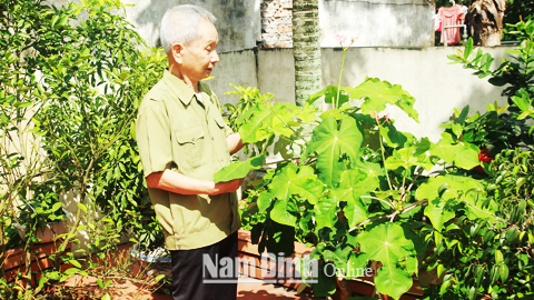 Một cựu chiến binh gương mẫu