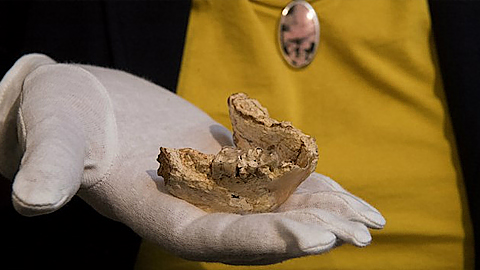 Công bố phát hiện mới về nguồn gốc loài người