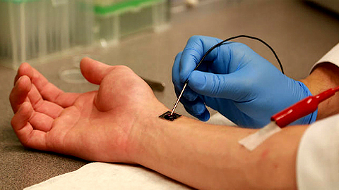 Tái tạo nội tạng bằng một con chip