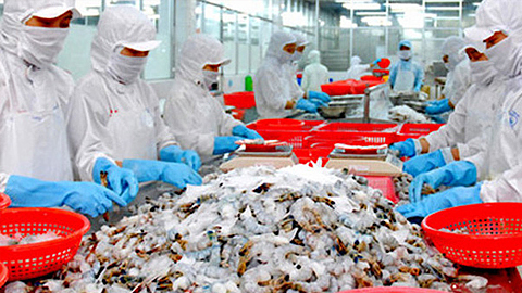 Phấn đấu đến năm 2020, giá trị xuất khẩu thủy sản đạt 8-9 tỷ USD