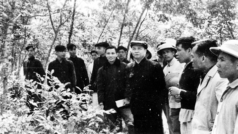 Đồng chí Trường Chinh - Nhà yêu nước lớn, nhà lý luận, nhà lãnh đạo xuất sắc của Đảng và Nhà nước ta (Kỳ 3)