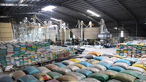 Tiền Giang: Có khả năng vượt chỉ tiêu về xuất khẩu hàng hoá