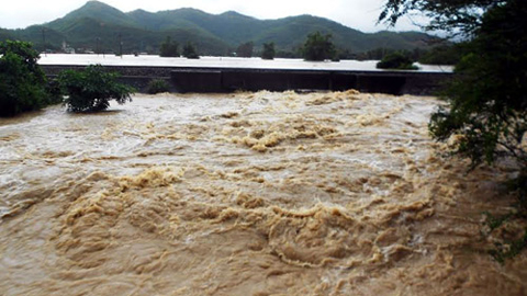 Tin cảnh báo lũ sông Đào, sông Ninh Cơ