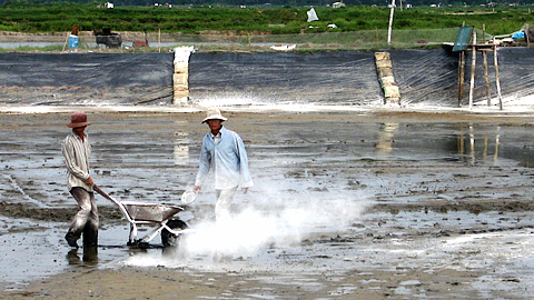 Quan tâm xử lý chất thải trong nuôi và chế biến thủy sản