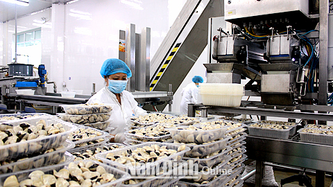 Khắc phục hạn chế trong công nghệ bảo quản, chế biến nông sản