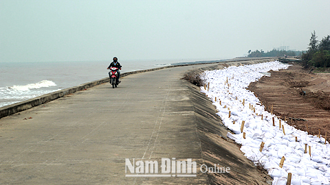 Hội Chữ thập đỏ xã Hải Hòa tham gia phòng chống thiên tai