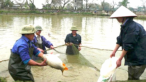 Lập nghiệp bên dòng sông Múc