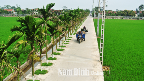 Chú trọng quản lý chất lượng vật liệu ở các công trình xây dựng