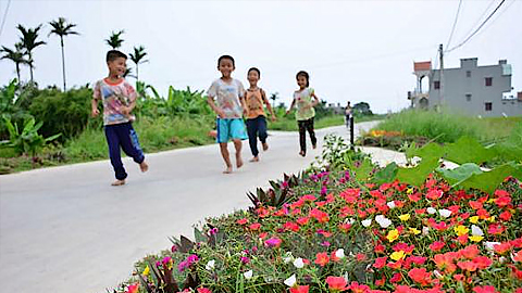 Ban hành tiêu chí xã nông thôn mới kiểu mẫu