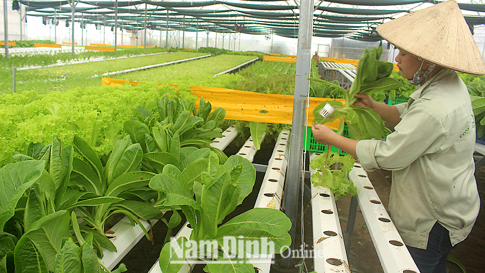 WEF ASEAN 2018: Hướng tới mục tiêu tăng trưởng bền vững nông nghiệp Việt Nam