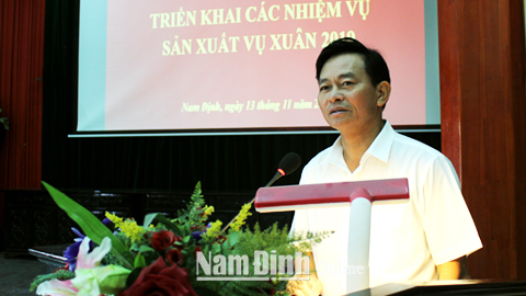 Triển khai sản xuất vụ xuân năm 2019