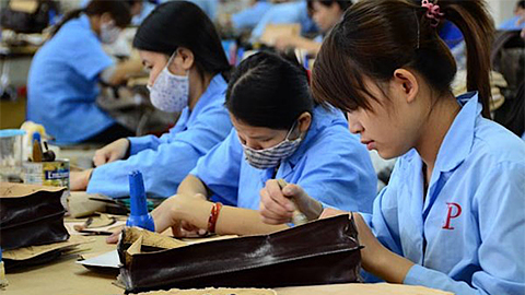 Một số chính sách mới có hiệu lực từ tháng 1-2019