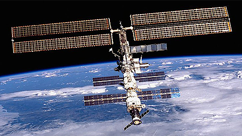 Phát hiện ra tế bào không bị ảnh hưởng trong môi trường không gian