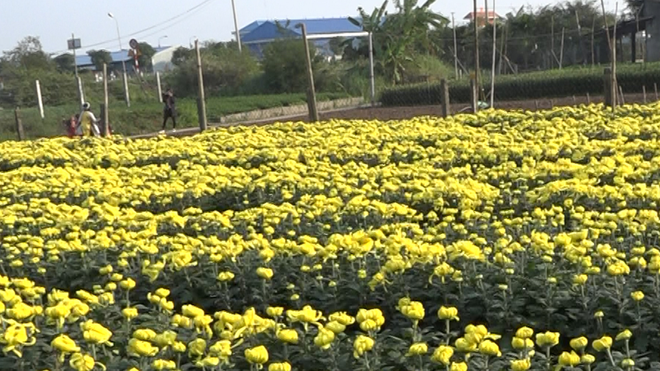 Dự báo thời tiết tỉnh Nam Định ngày 8-2-2019