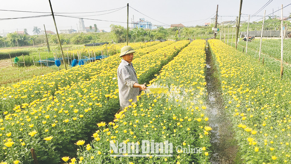 Dự báo thời tiết tỉnh Nam Định ngày 12-2-2019