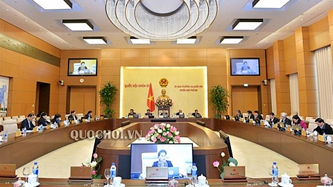 Chính phủ báo cáo kết quả lấy ý kiến về Luật Giáo dục (sửa đổi)