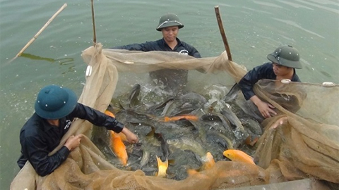 Kế hoạch phát triển chăn nuôi, thủy sản và phòng chống dịch bệnh động vật năm 2019