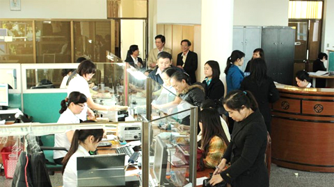 Triển khai dịch vụ công trực tuyến thuộc lĩnh vực Kho bạc Nhà nước