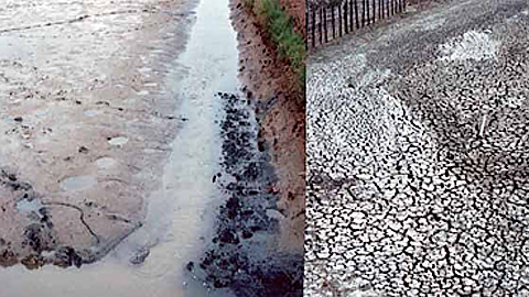 Quy trình kỹ thuật nuôi tôm sú thâm canh hiệu quả: Chuẩn bị ao vuông nuôi tôm sú