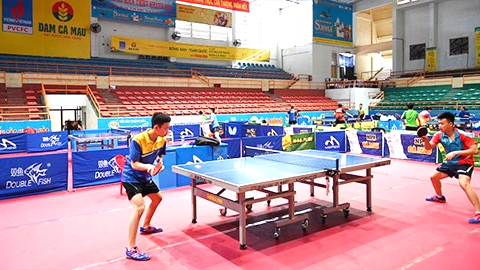 Hôm nay (20-5), khai mạc Giải vô địch bóng bàn toàn quốc Báo Nhân Dân lần thứ 37 tranh Cúp PetroVietnam - Đạm Cà Mau 2019