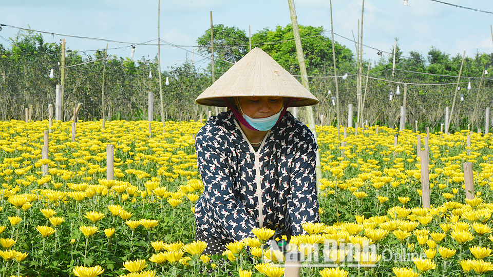 Dự báo thời tiết thủy văn đêm 24 ngày 25-5-2019 trên địa bàn tỉnh Nam Định