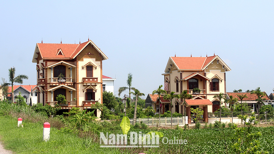 Tin mưa dông diện rộng