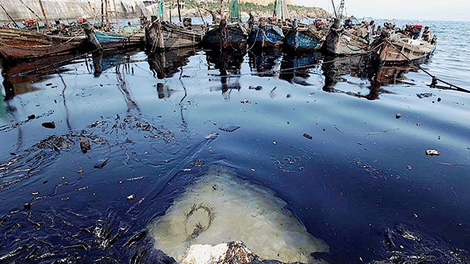 Trung Quốc phát triển bọt sinh học mới giúp tách dầu và nước