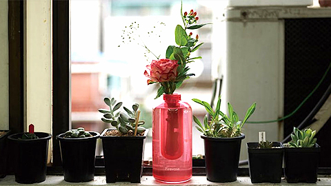 Bình hoa có thể chữa cháy trong tích tắc