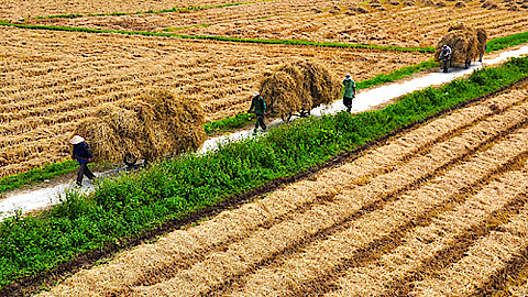 Dự báo thời tiết thủy văn đêm 13 ngày 14-6-2019 trên địa bàn tỉnh Nam Định