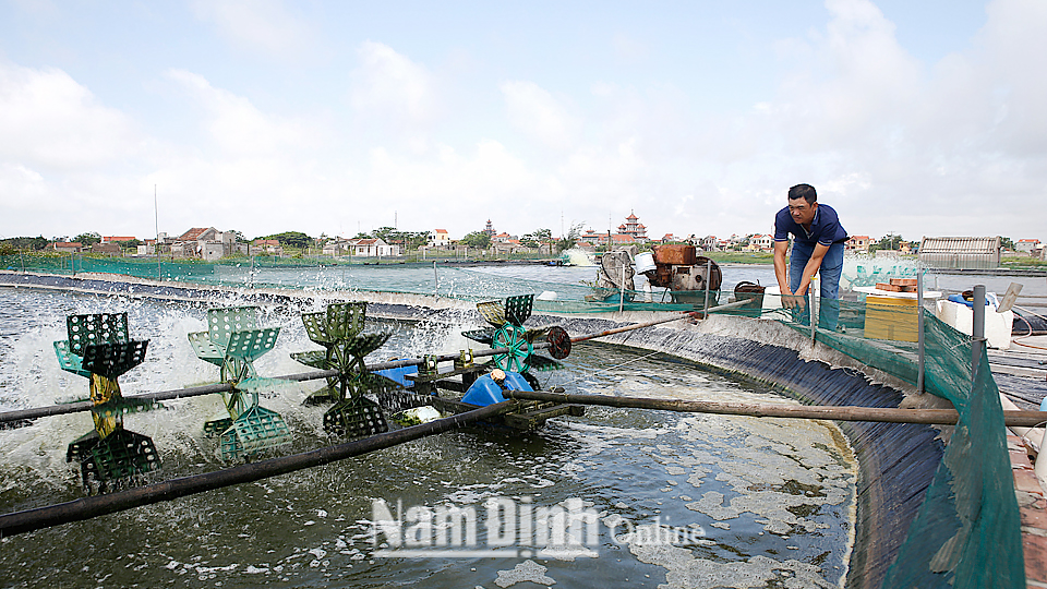 Tin mưa lớn diện rộng